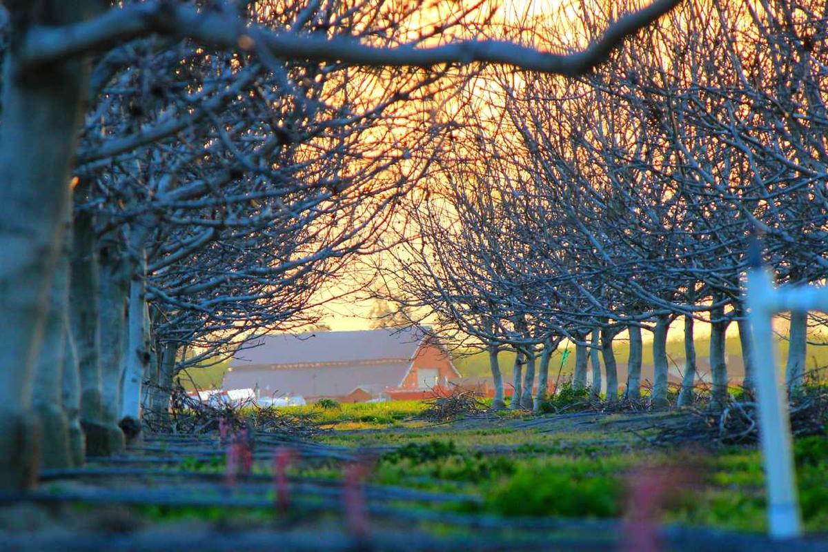 Experts Reveal the Future of AI Automation in Environment